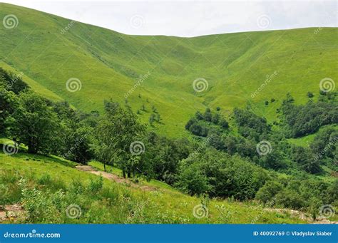 View Of Green Slopes With Some Trees Stock Image Image Of Tree Track