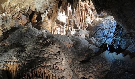 Yarrangobilly Jersey Cave Nsw National Parks