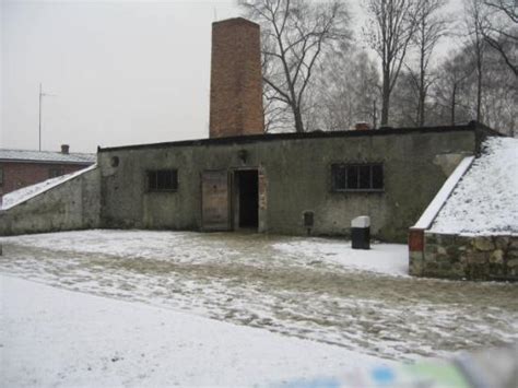 The main gas chambers were located at birkenau. The Writings of Peter Winter: Ending the Debate on ...