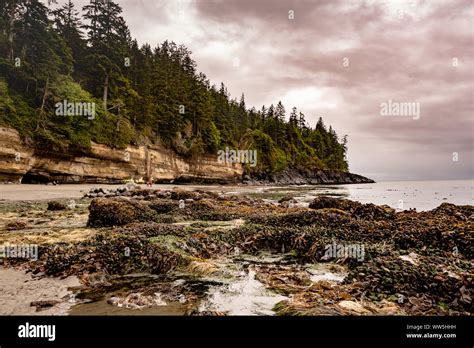 Mystic Beach Vancouver Island British Columbia Canada Stock Photo