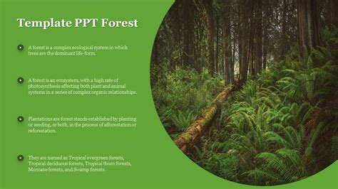 Stunning Template Ppt Forest Presentation Slide Design