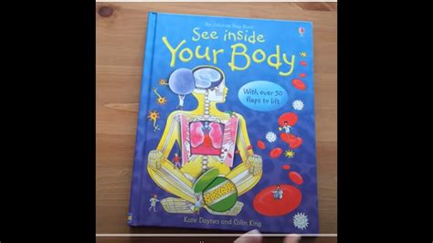 See Inside Your Body Usborne Youtube
