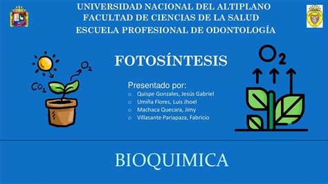 Fotosintesis Fotosintesis Fotosintesis Biologia Bioquimica Images The Best Porn Website