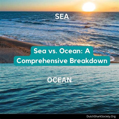 Sea Vs Ocean A Comprehensive Breakdown Dutch Shark Society