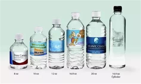 How Many Cups Is In A Water Bottle Healing Picks