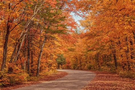 Best Fall Hikes In Algonquin Provincial Park