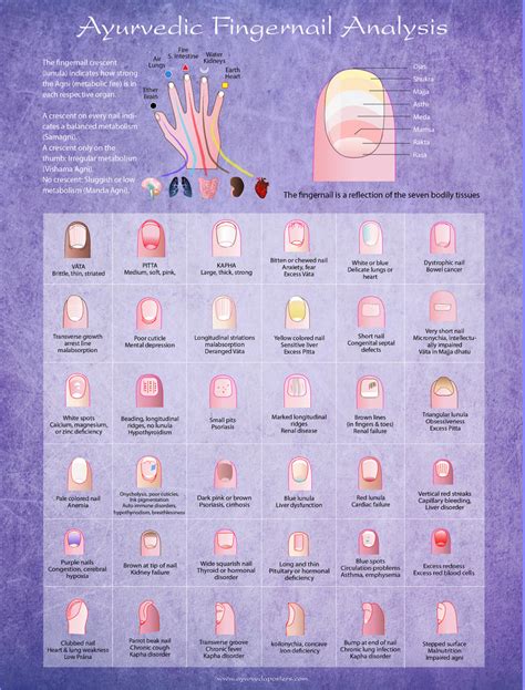 Fingernail Diagnosis Ayurveda Posters