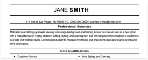 simple resume format  job application