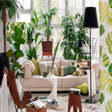 Aesthetic Indoor Plants to Destress at Home (with Easy Care Tips)