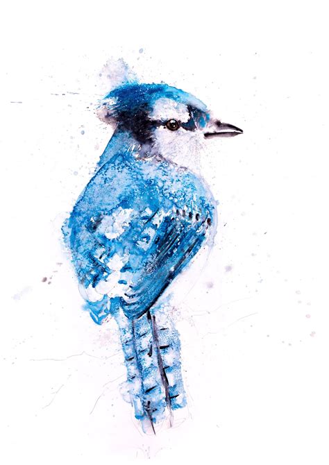 Blue Jay Painting Blue Jay Art Hand Signed Numbered Dated And