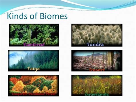 Meaning And Classification Of Biomes Biomes Ecosystems