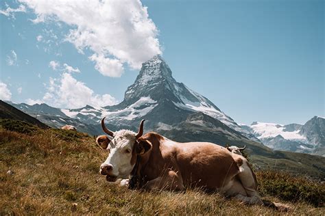 ᐉ 30 Lugares Imprescindibles Que Ver En Suiza Juntosviajando
