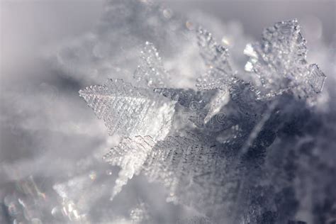 Closeup Of Ice Crystals Frozen In Winter Stock Image Image Of