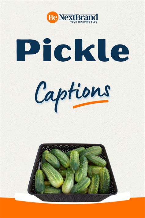 100 Catchy Pickle Captions For Social Media Food Captions Pickling