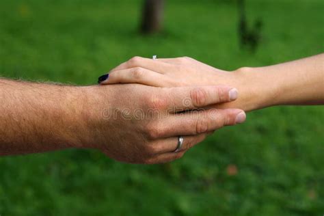 Hands Of Married Couple In The Park Stock Image Image Of Foreplay