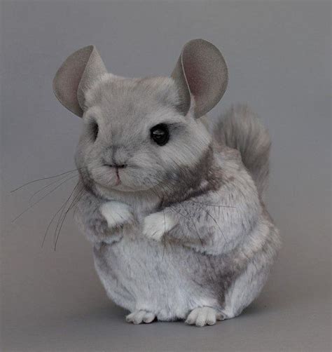 Adorable And Very Realistic Looking Stuffed Chinchilla Plush Toy