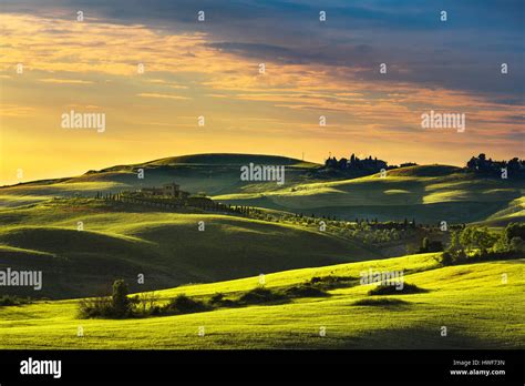 Tuscany Spring Rolling Hills On Sunset Rural Landscape Green Fields