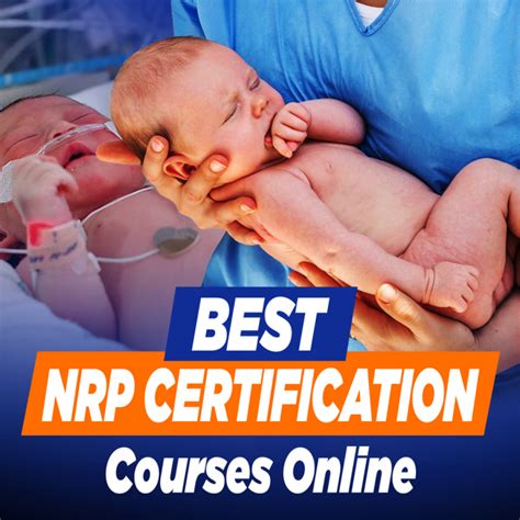 Best Nrp Certification Courses Online Crush Your Exam