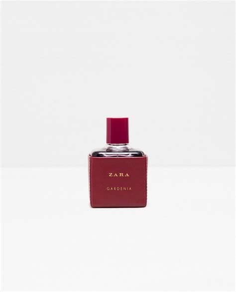 Zara Gardenia 2016 Zara عطر A Fragrance للنساء 2016