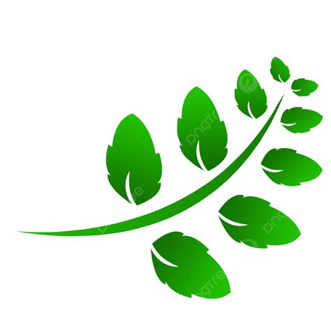 Transparent Leaf Png Image Green Leaf Transparent Vector Leaf Vector