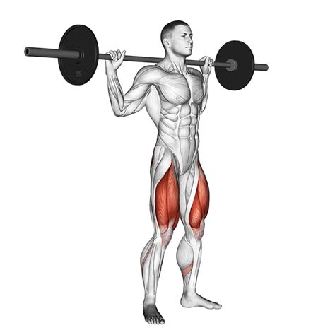Barbell Squat Benefits Muscles Used And More Inspire Us