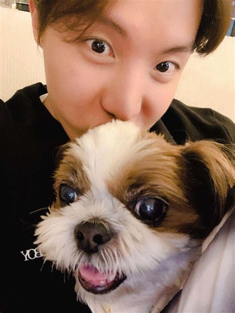 Get To Know The Extra Members Of Bts All Their Adorable Dogs Film Daily