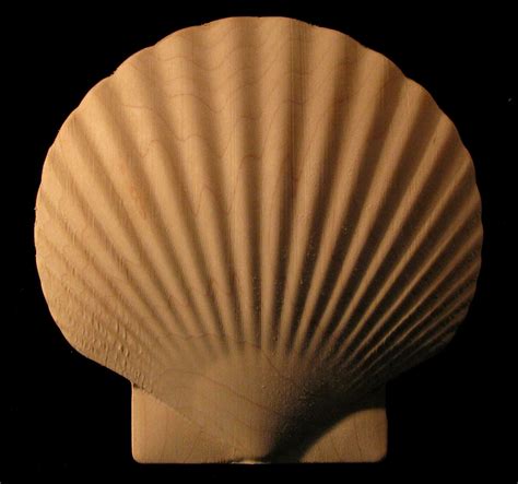 Wood Carved Onlay Scallop Shell Scallop Shells Wood Appliques Carving