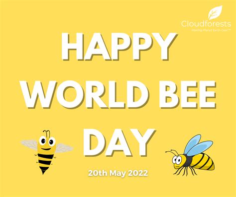Happy World Bee Day 5 Fast Facts About Honeybees — Cloudforests