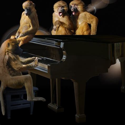 If Monkeys Were Playing On Your Piano Would You Sing Toddthurman