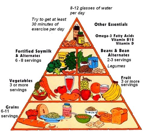 · get your free printable vegan food pyramid & how to meet critical nutrients on a vegan diet cheat sheet. Loveabetes: Food Pyramids and Meal Breakdowns.