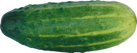 We did not find results for: Cucumber PNG