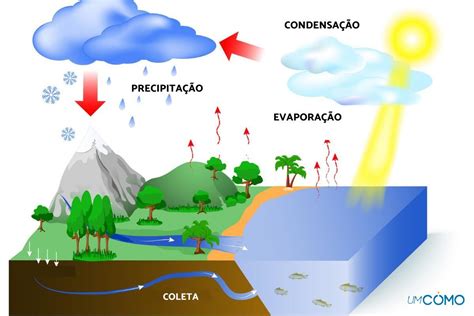 Como Ocorre O Ciclo Da Gua Na Natureza Conhe A As Fases Desse Processo