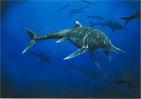 New 200 Million Year Old British Species Of Marine Reptile Discovered
