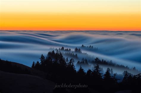 Fog Rolling Through The Trees In Northern California Pics