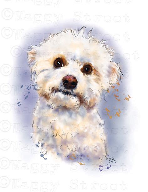 Bichon Frise Dog Clipart Instant Download Digital Image Pen Ink
