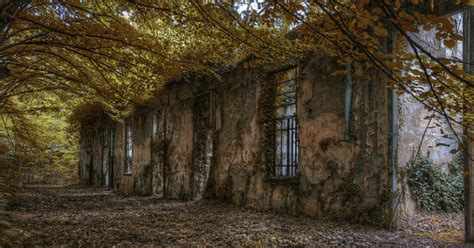 This Abandoned Ghost Town In Georgia Used To Run Weird Experiments In