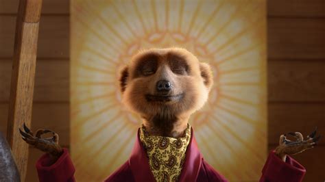 Compare the Market goes zen on health insurance in latest meerkat campaign