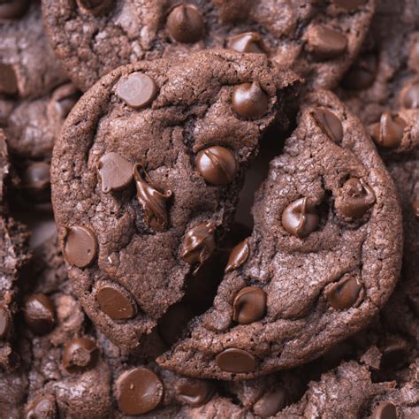 Double Chocolate Chip Cookies Laptrinhx News