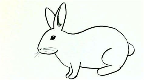 Bunny Outline Drawing At Explore Collection Of