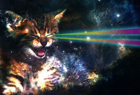 Rainbow Lasers Gatinhos Pinturas Invenções