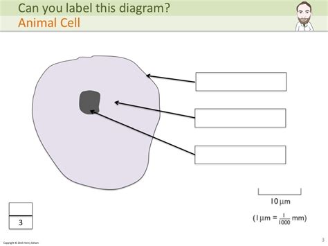 Maybe you would like to learn more about one of these? IGCSE Biology Labelling Diagrams