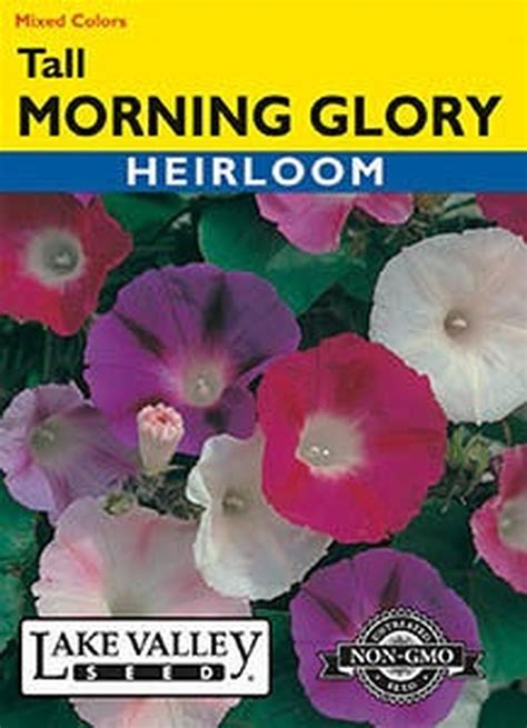 Lake Valley Seed Morning Glory Tall Mixed Colors Grass Seed And Packet