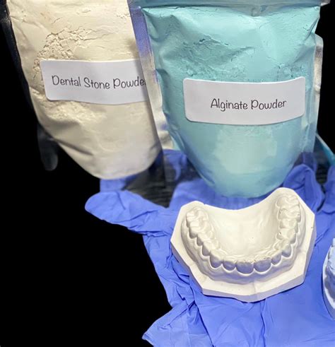 Dental Impression Mold Kit Dental Cast Kit Alginate Powder Etsy