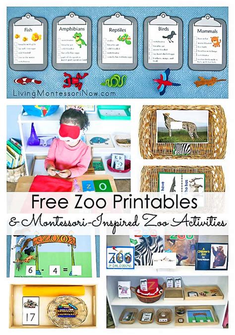 Free Zoo Printables And Montessori Inspired Zoo Activities Living
