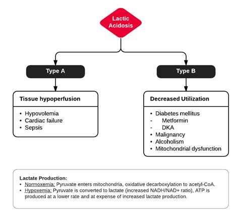 Differential Diagnosis Of Elevated Serum Lactate Diagnosis Grepmed