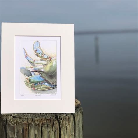 Maryland Crab Watercolor Print Etsy