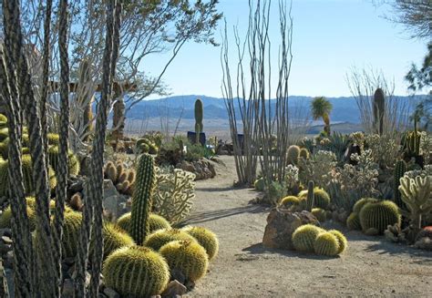 33 Best Desert Zen Gardens Images On Pinterest Gardening Landscaping