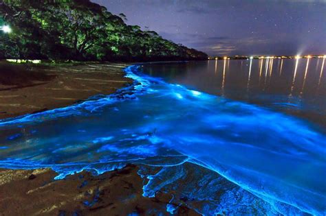 Bioluminescent Algae Reacting To The Crashing Waves On The Shore