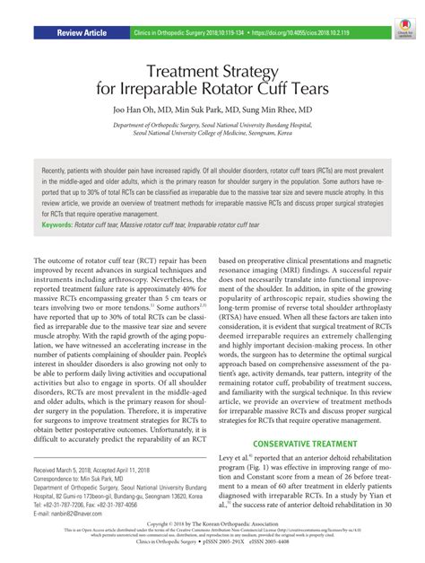 Pdf Treatment Strategy For Irreparable Rotator Cuff Tears
