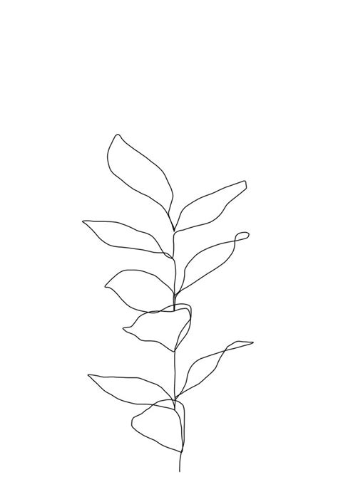 Plant One Line Drawing Illustration Kay Art Print By The Colour Study